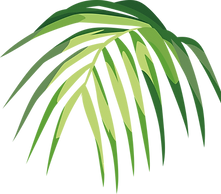 Tropical Leaf