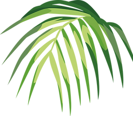 Tropical Leaf