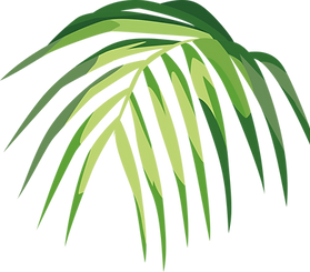 Tropical Leaf