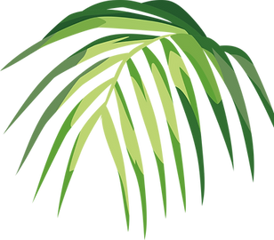Tropical Leaf