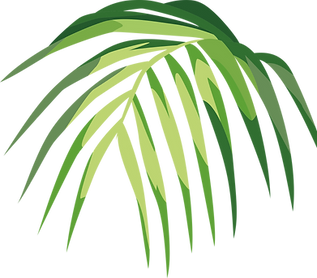 Tropical Leaf