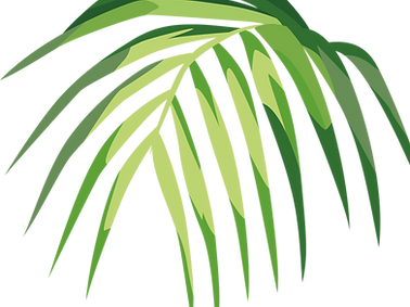 Tropical Leaf
