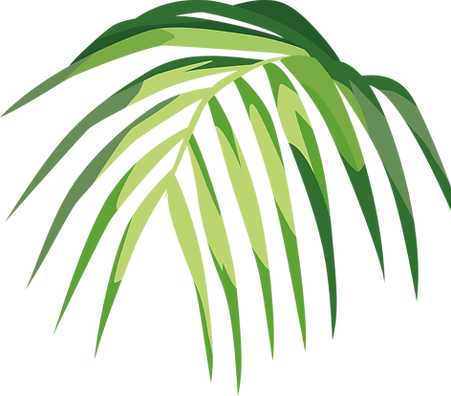 Feuille tropicale