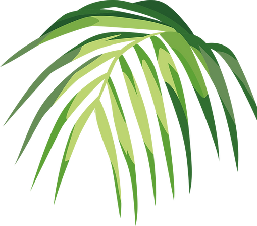 Tropical Leaf