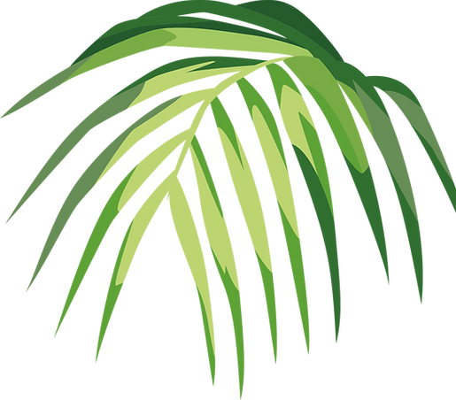 Tropical Leaf 