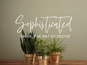 Sophisticated Shine: The Art of Decor