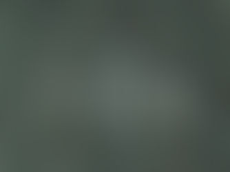 Year-round tree styling made easy!