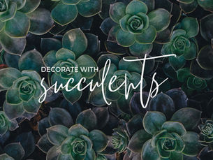 Ways to Decorate with Succulents
