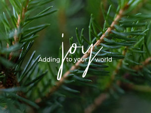 Evergreen – Adding Joy to Your World