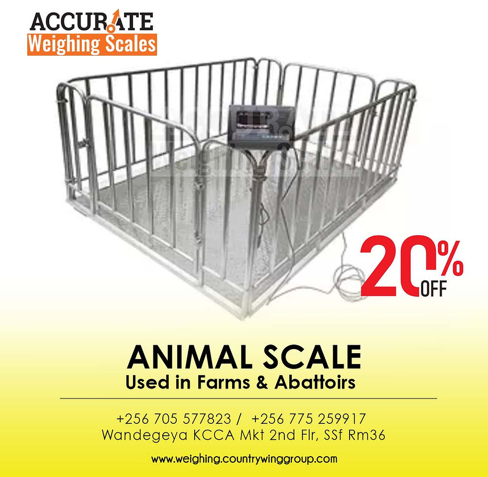 Digital Farm Weighing Scales in Kampala