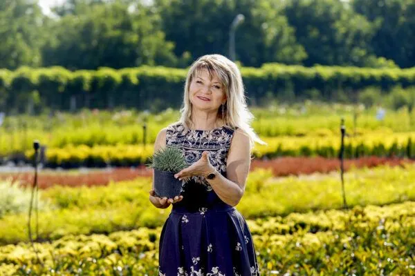 Мажоритарният собственик на „Булланд“ Татяна Бояджиева залага на холандската технология за отглеждане на растения в контейнери – от най-малката саксия до 300-литрови, в които може да се побере 6 метра дърво. Снимка: Иван Коловос