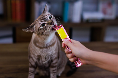 Лакомства за котки | Natural Treats 4Dogs