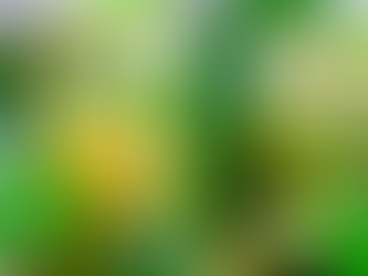 Ползите на чая от липа