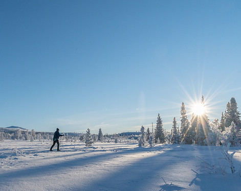 Vinter i idylliske omgivelser