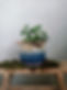 IMG20220130143419__01.jpg