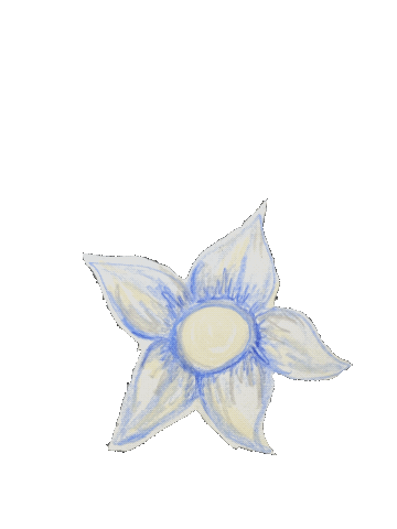 spinning flower