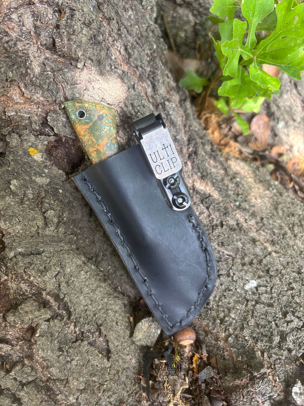 Thumbnail: Pocket Ridgeback