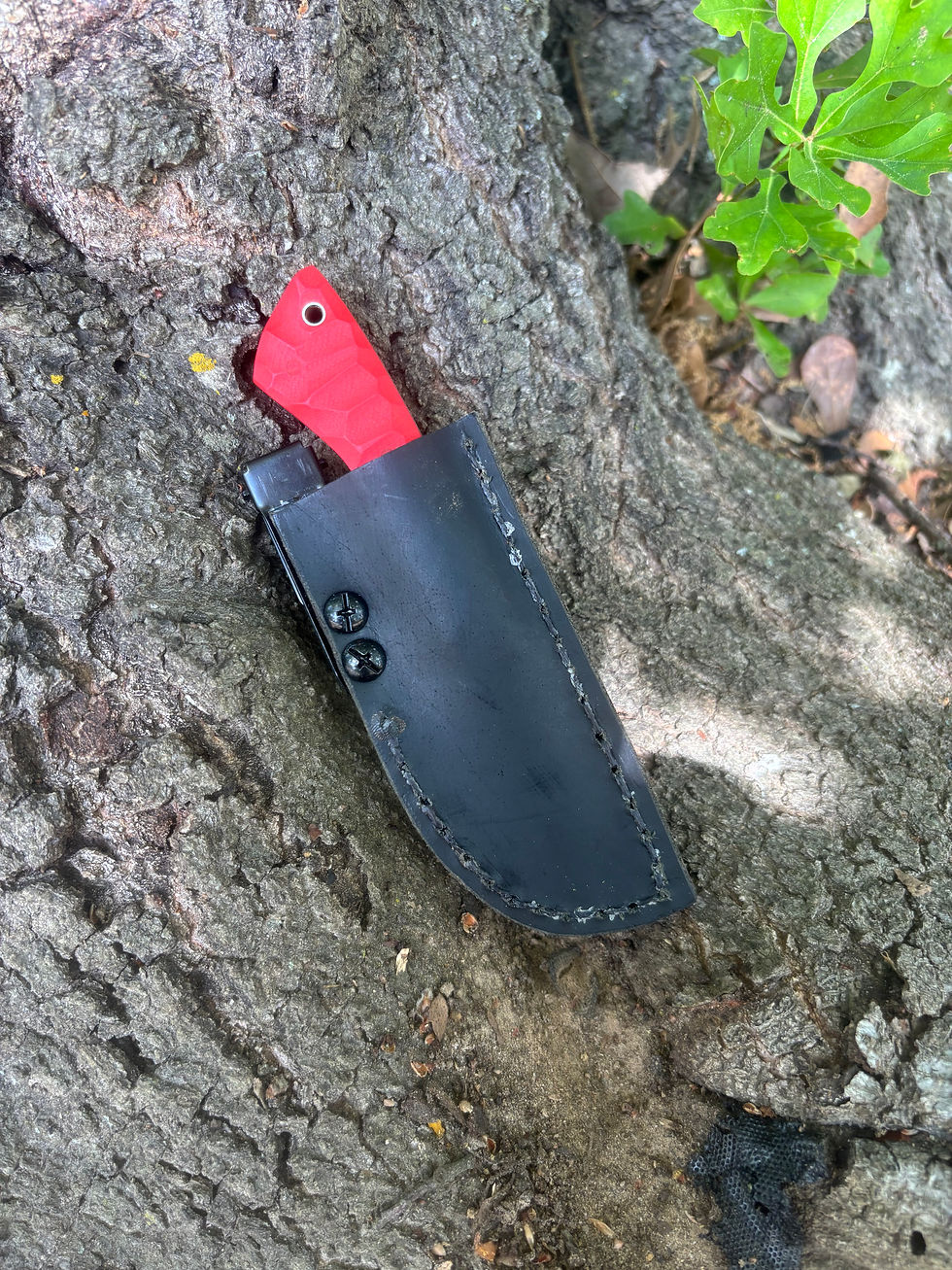 Thumbnail: Pocket Ridgeback 