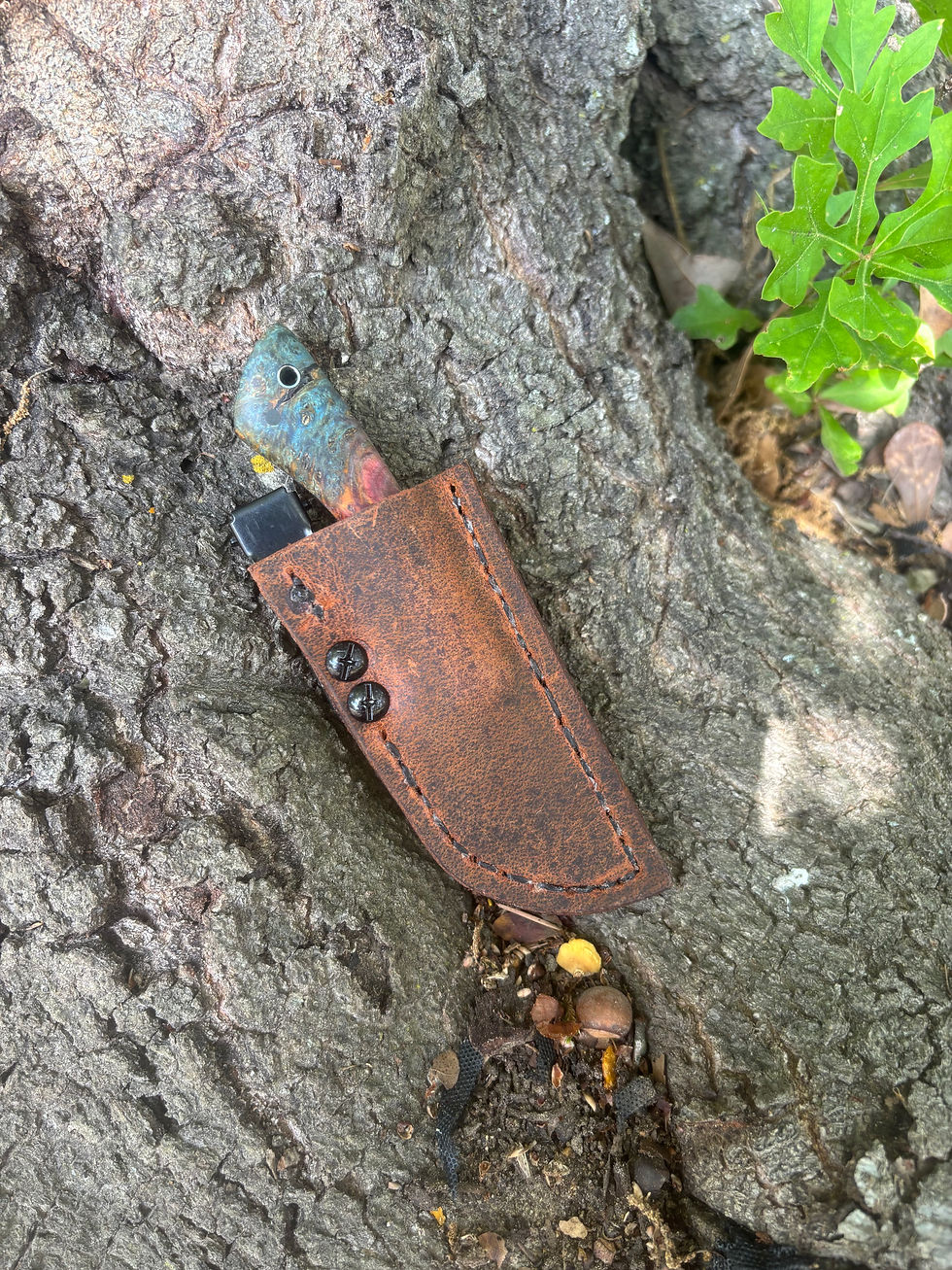 Thumbnail: Pocket Ridgeback 