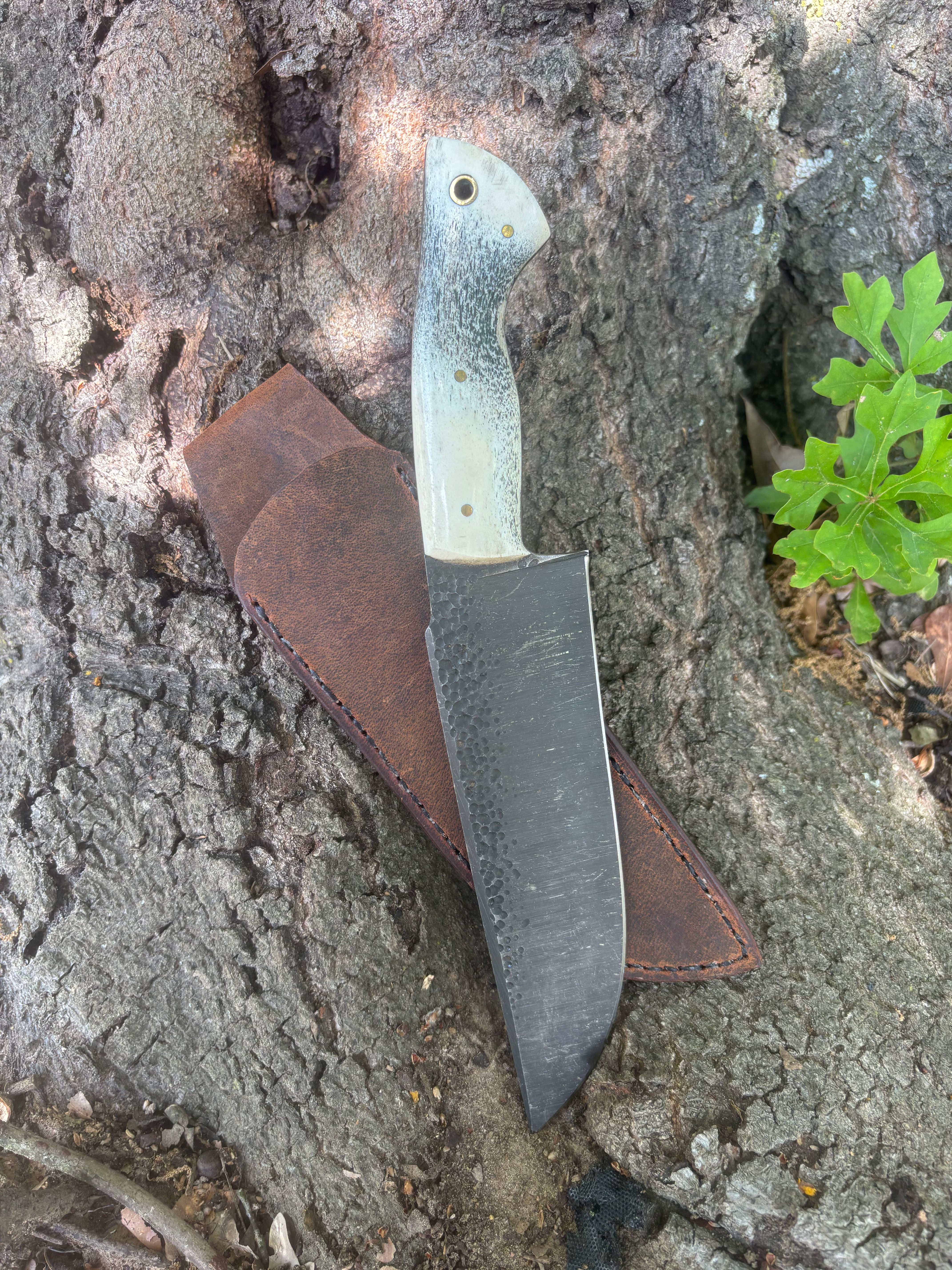 Ridgeback XL