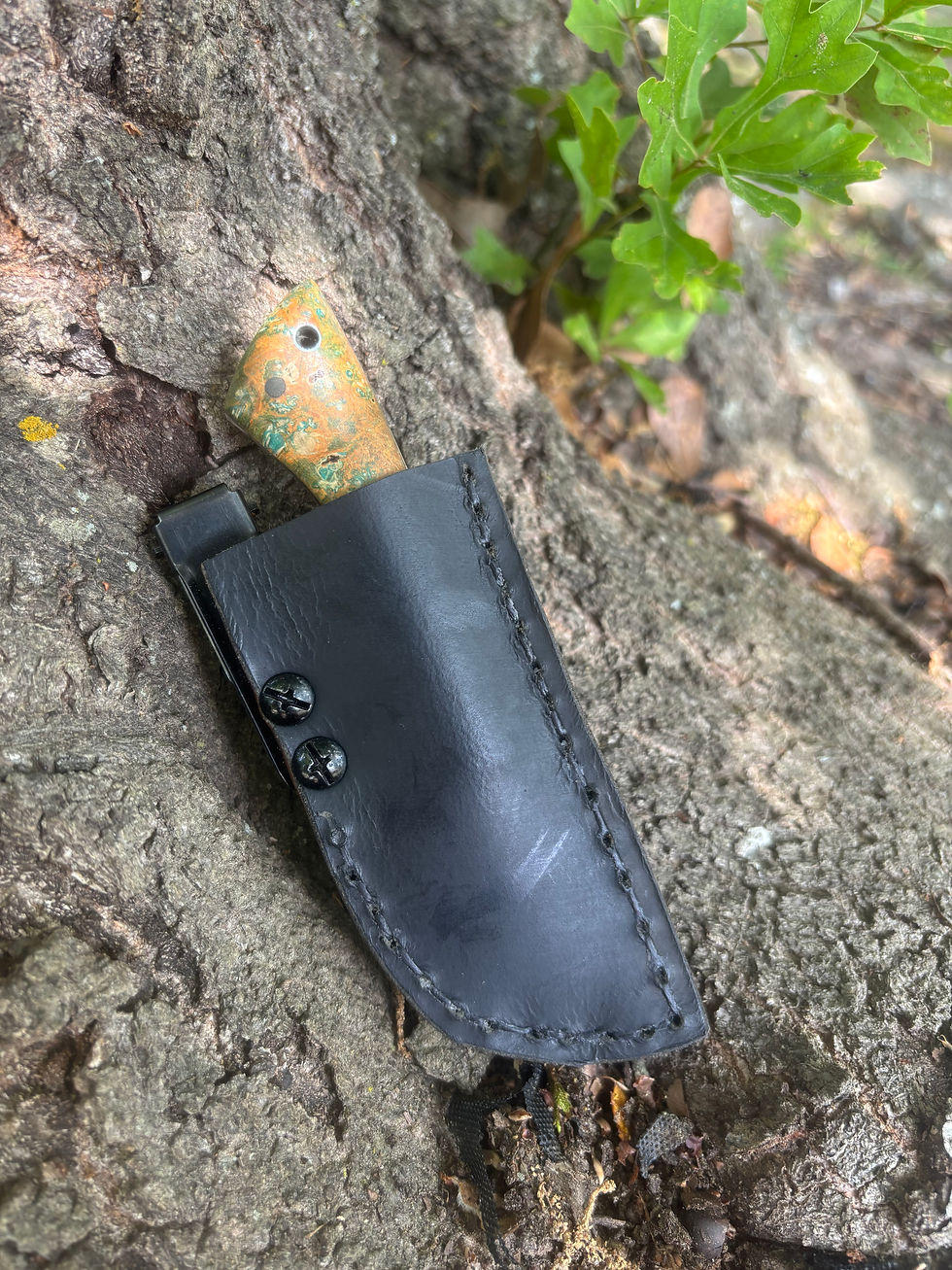 Thumbnail: Pocket Ridgeback