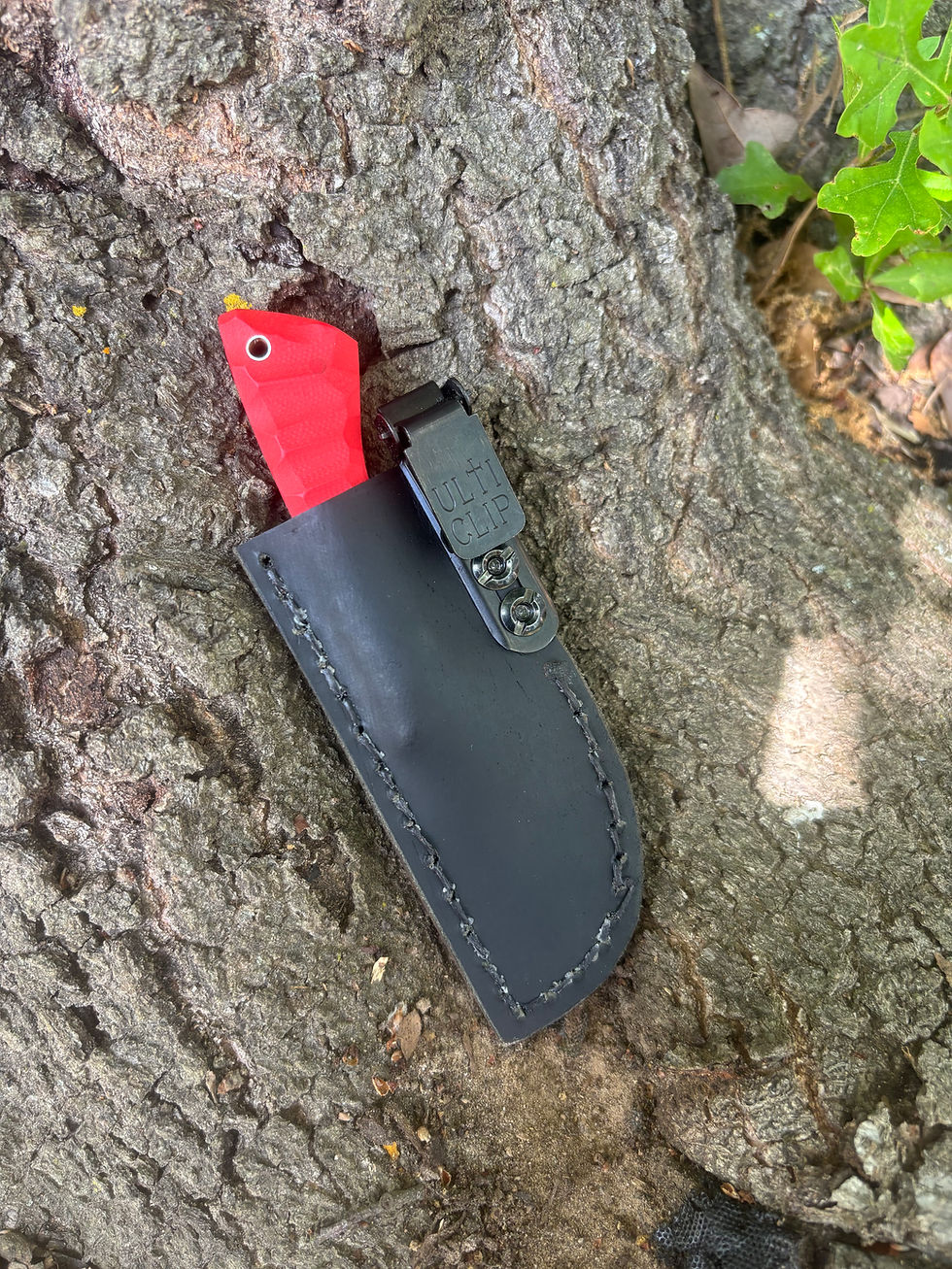 Thumbnail: Pocket Ridgeback 