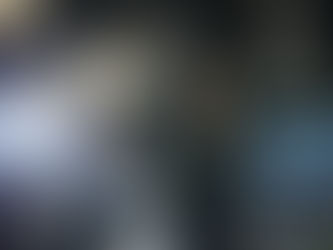 The Covenant of Preservation