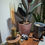Thumbnail: The Lewis - Honey Locust Accent Lamp - Custom Order