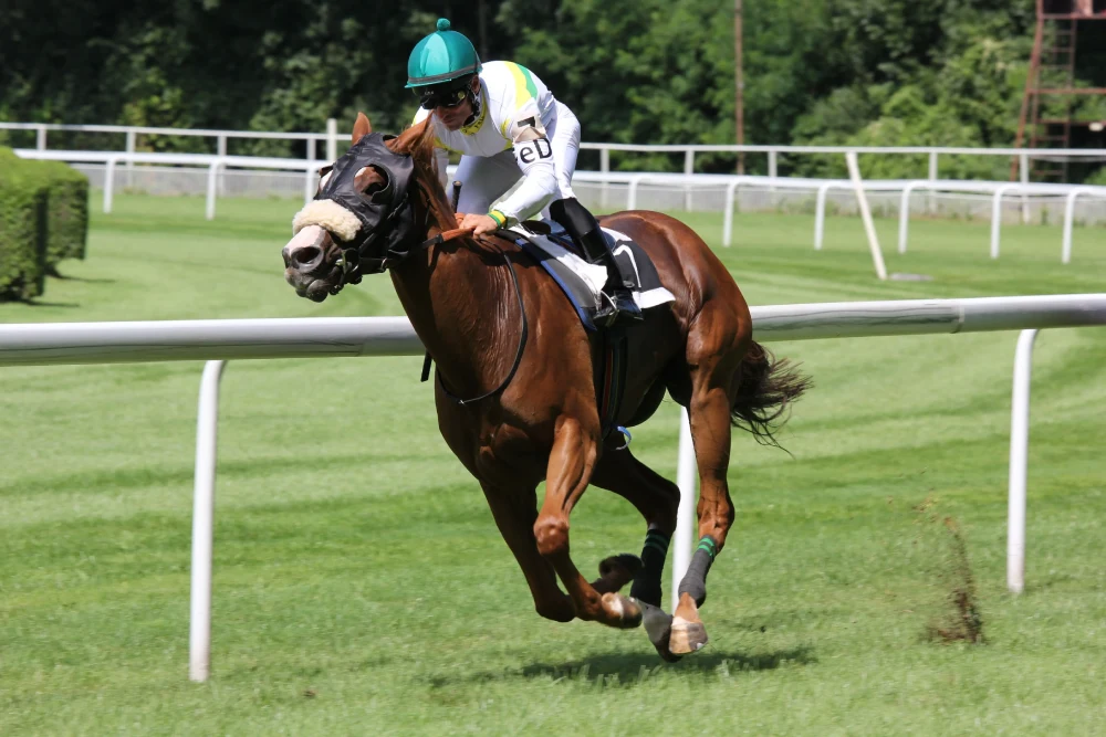 iGamingPub News - BetMGM Secures Market Access in Kentucky through Partnership with Revolutionary Racing Kentucky