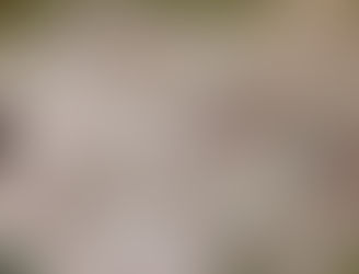 MEBIG プレゼンテーション