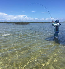 The beautiful scenery of the Cozumel Flats