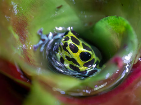 Taking photos; art or science?