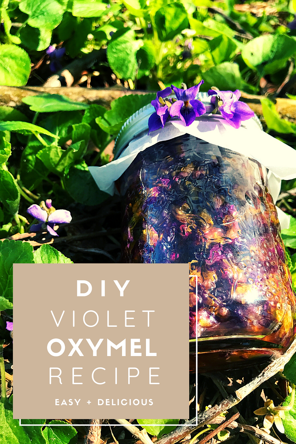 Violet Oxymel Recipe