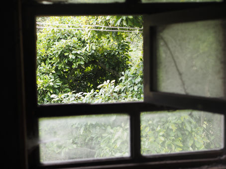 Cenizas