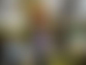 Commémoration de l'armistice du 11 novembre 1918