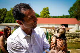 Visite de la Ferme des Copains à Maincy