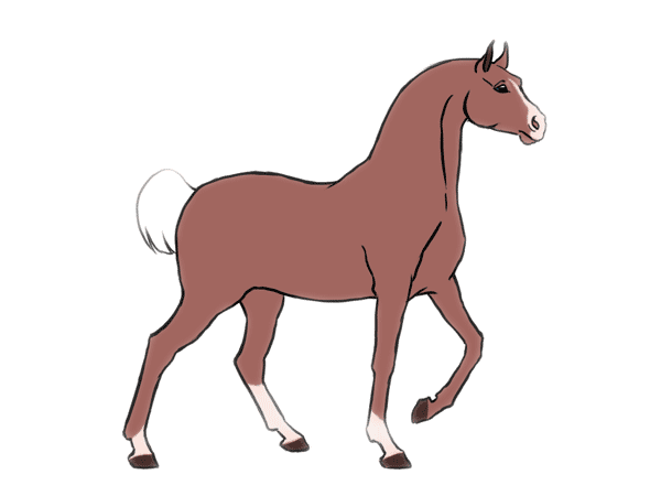 caballo ok.gif