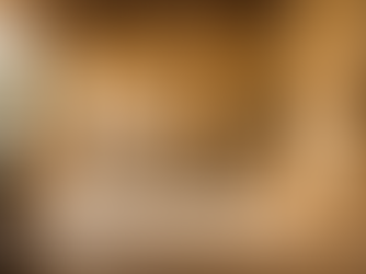 Private Luxuria in Ancient Rome: Aesthetics, Power, and the Intimacy of Possession