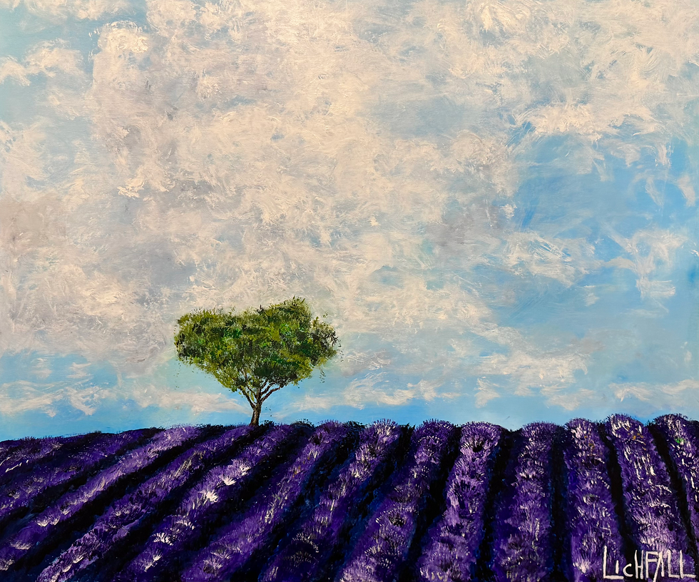 Miniaturbild: PROVENCE 