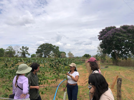 Visita da Embrapa Cenargen e Consultoras Alemãs à Copabase: Avaliando a viabilidade de sistemas produtivos para sequestro de carbono