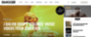 Custom Web Design Toronto.png
