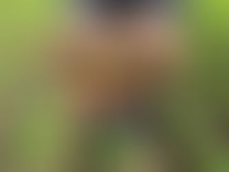 Potato Growers Seed Shortage Continues