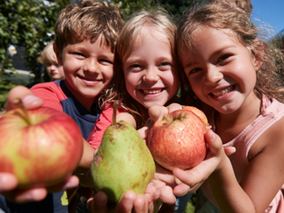 British Apples And Pears Poised For Exceptional Flavour This Season