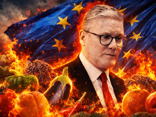 Brexit ‘Reset’ Risks Driving Up Cost Of Weekly Shop, Analysis Warns