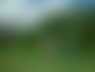 Sainsbury’s and Woodland Trust Mark 20 Years of Partnership with Groundbreaking Agroforestry Initiative