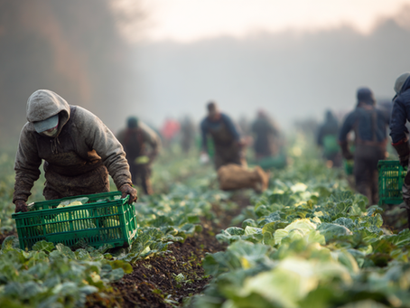 Rule Change Offers Relief For Growers Facing Labour Shortages