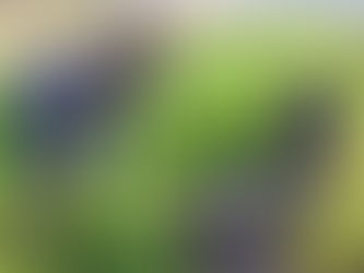 Growers Threaten to Abandon Ethical Audits Over Seasonal Worker Costs