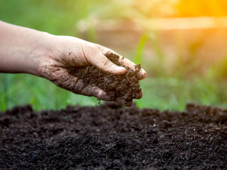 UK's soil health at breaking point: Campaigners urge immediate measures