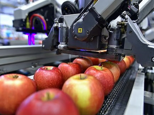 The Future Is Compostable: How a Fruit Sticker Became a Sustainability Star