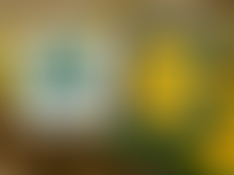 Lidl Close to Overtaking Morrisons as UK’s Fifth-Biggest Supermarket